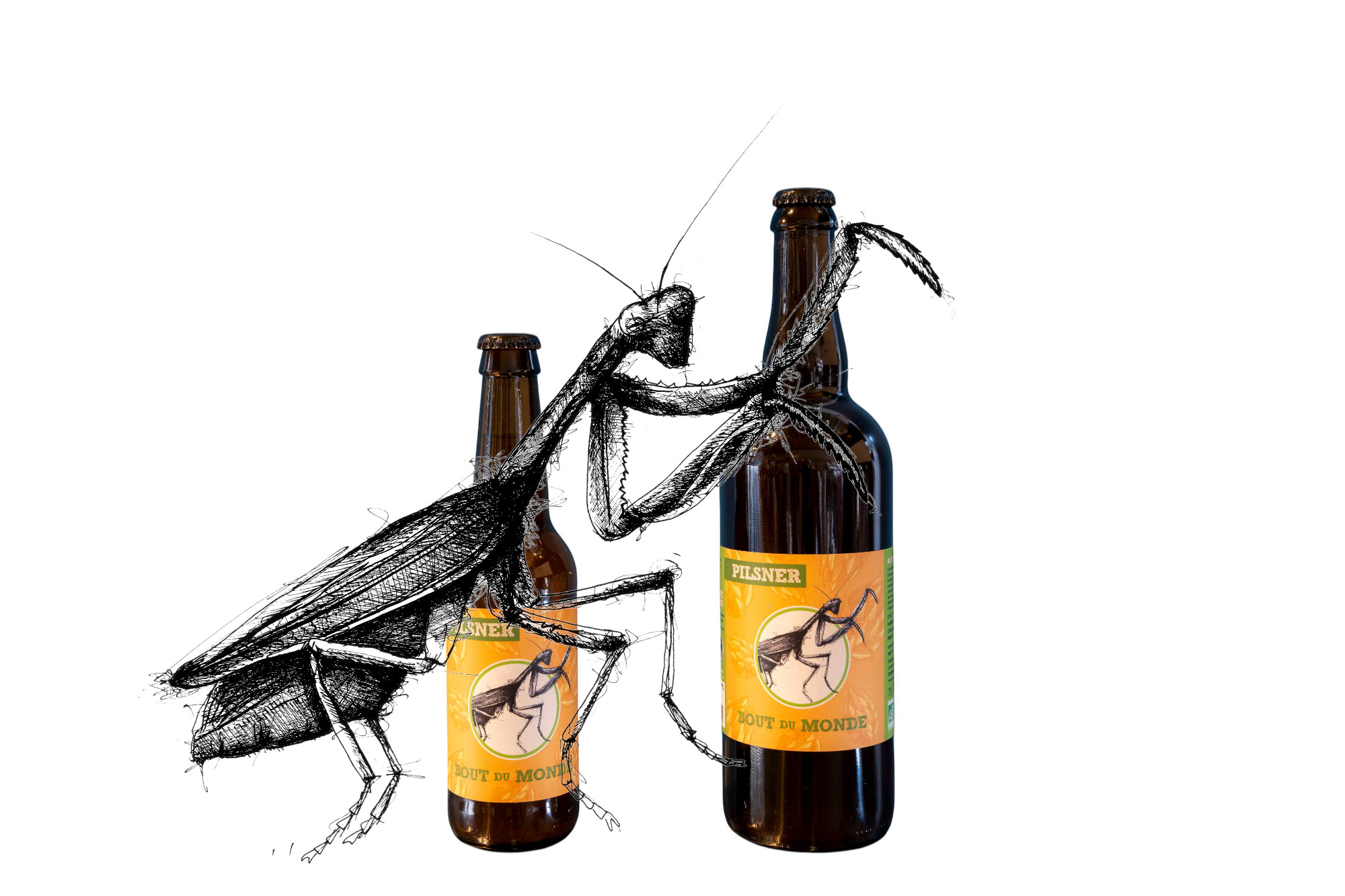 PILS -Photoroom